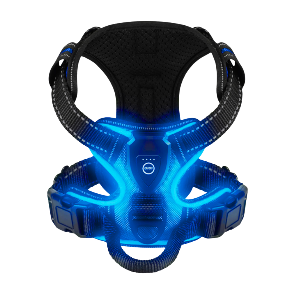Blink LED Light Dog Harness -Light blue - Ozerty