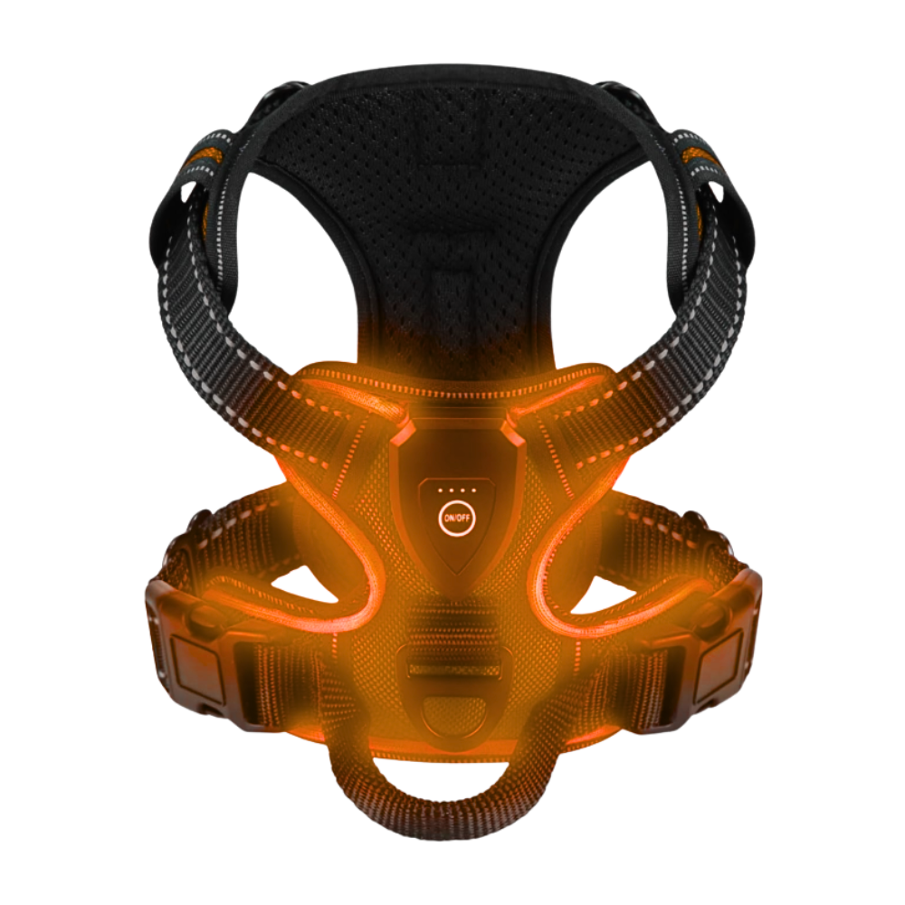 Blink LED Light Dog Harness