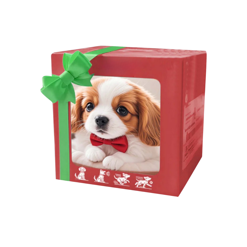 Cute Robotic Puppy Cat -Dog Cavalier - Ozerty