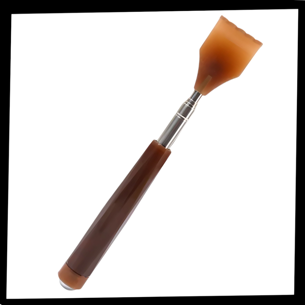 Ergonomic Scratch Buddy - Ozerty