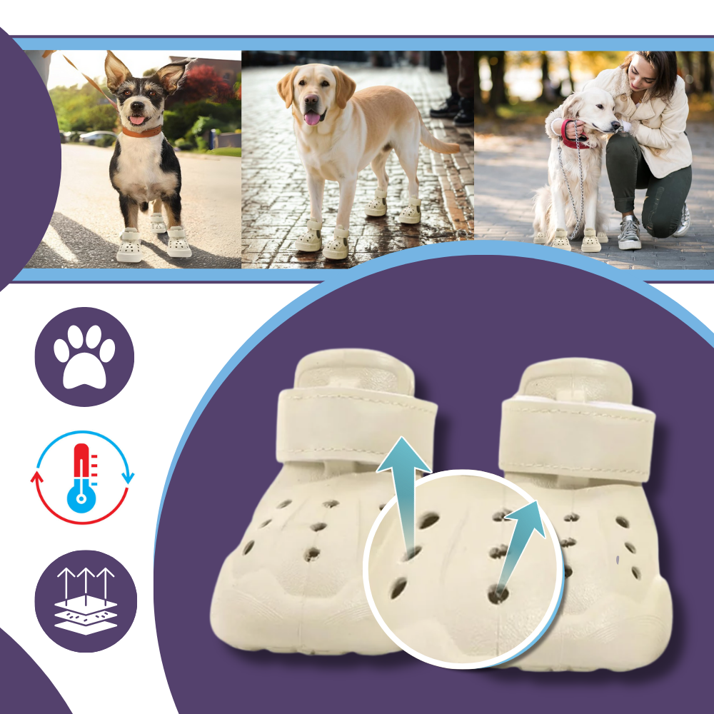 Paw Guard Boots - Ozerty