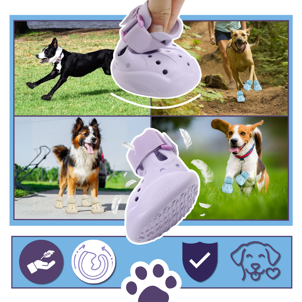 Paw Guard Boots - Ozerty