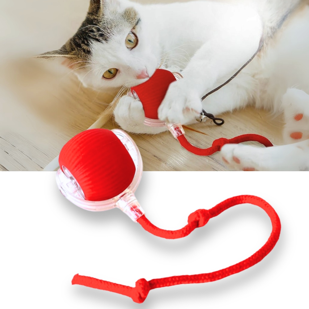 Smart Interactive Cats Ball Toy - Ozerty