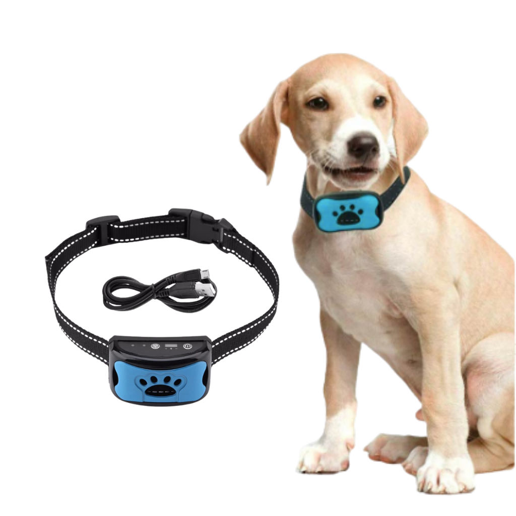 How to train your dog with a vibrating collar deals