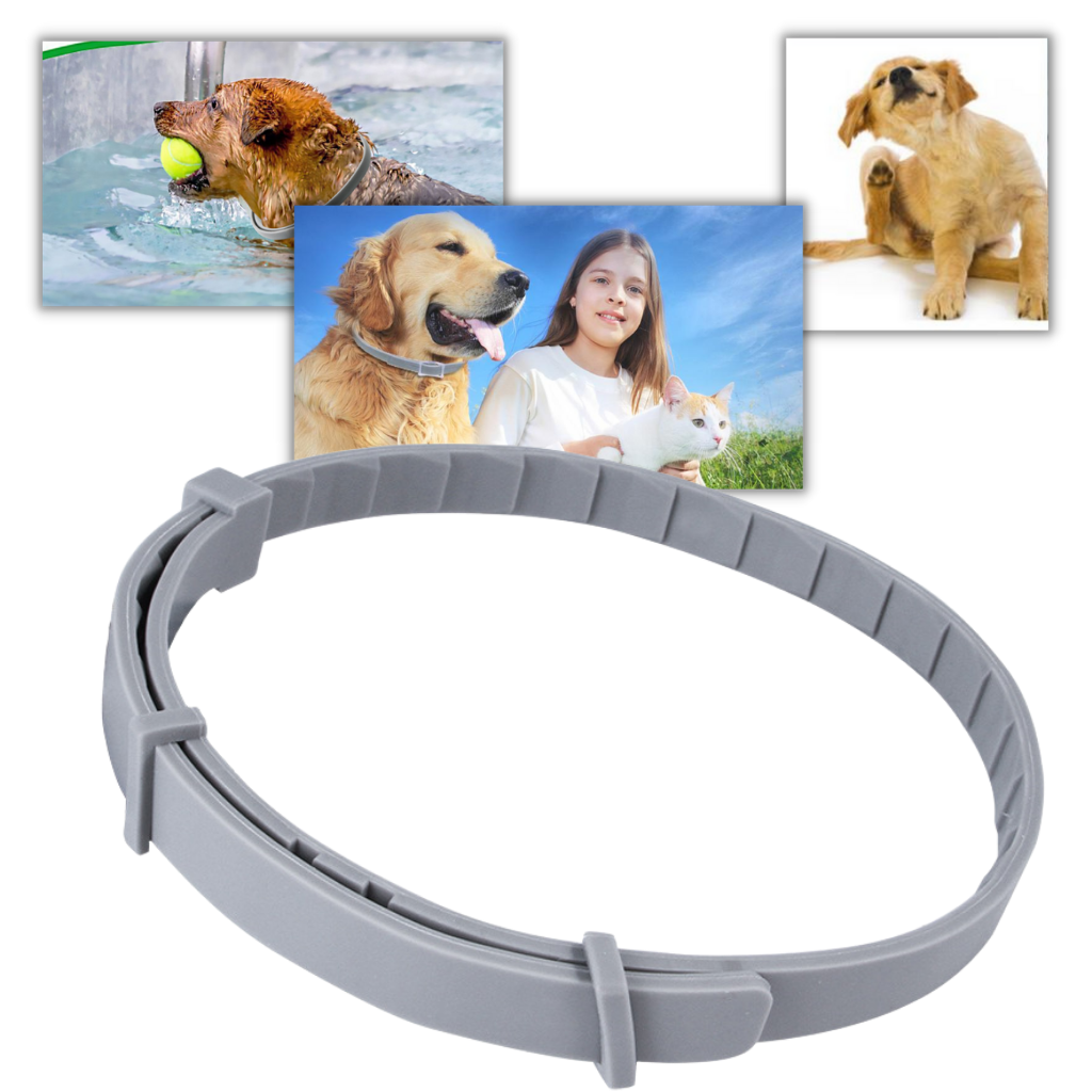 Anti Flea Collar for Pets