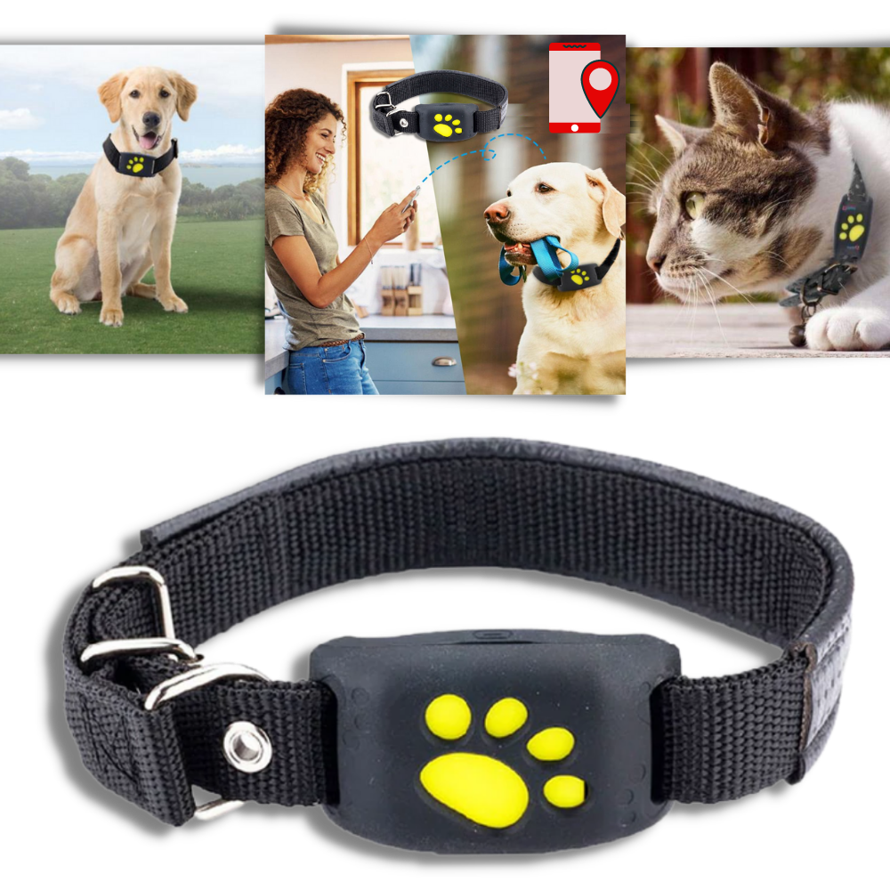 Pet trackers clearance canada