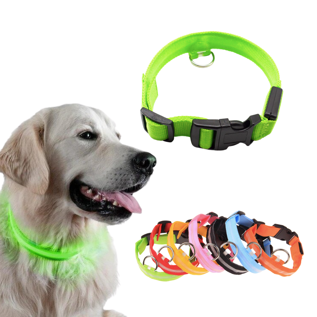 Dog collar safety shop light