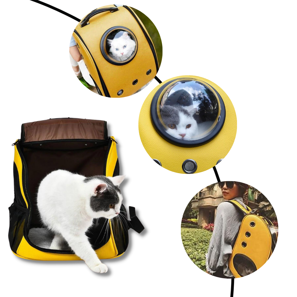 Cat Travel Backpack  - Ozerty