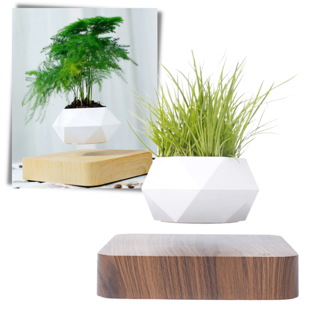floating potted plant Levitating air plant pot│Magnetic floating plant pot│Suspension floating pot