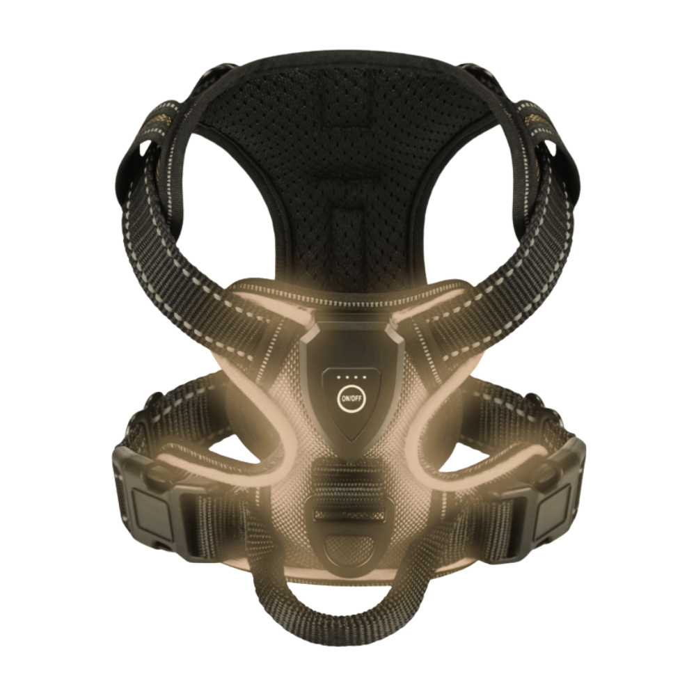 Blink LED Light Dog Harness -Black - Ozerty