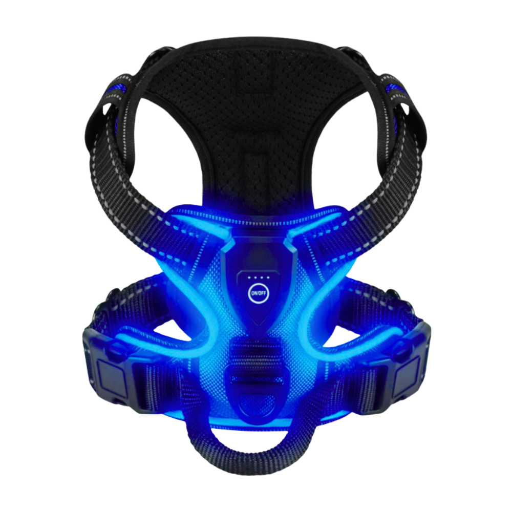 Blink LED Light Dog Harness -Dark blue - Ozerty