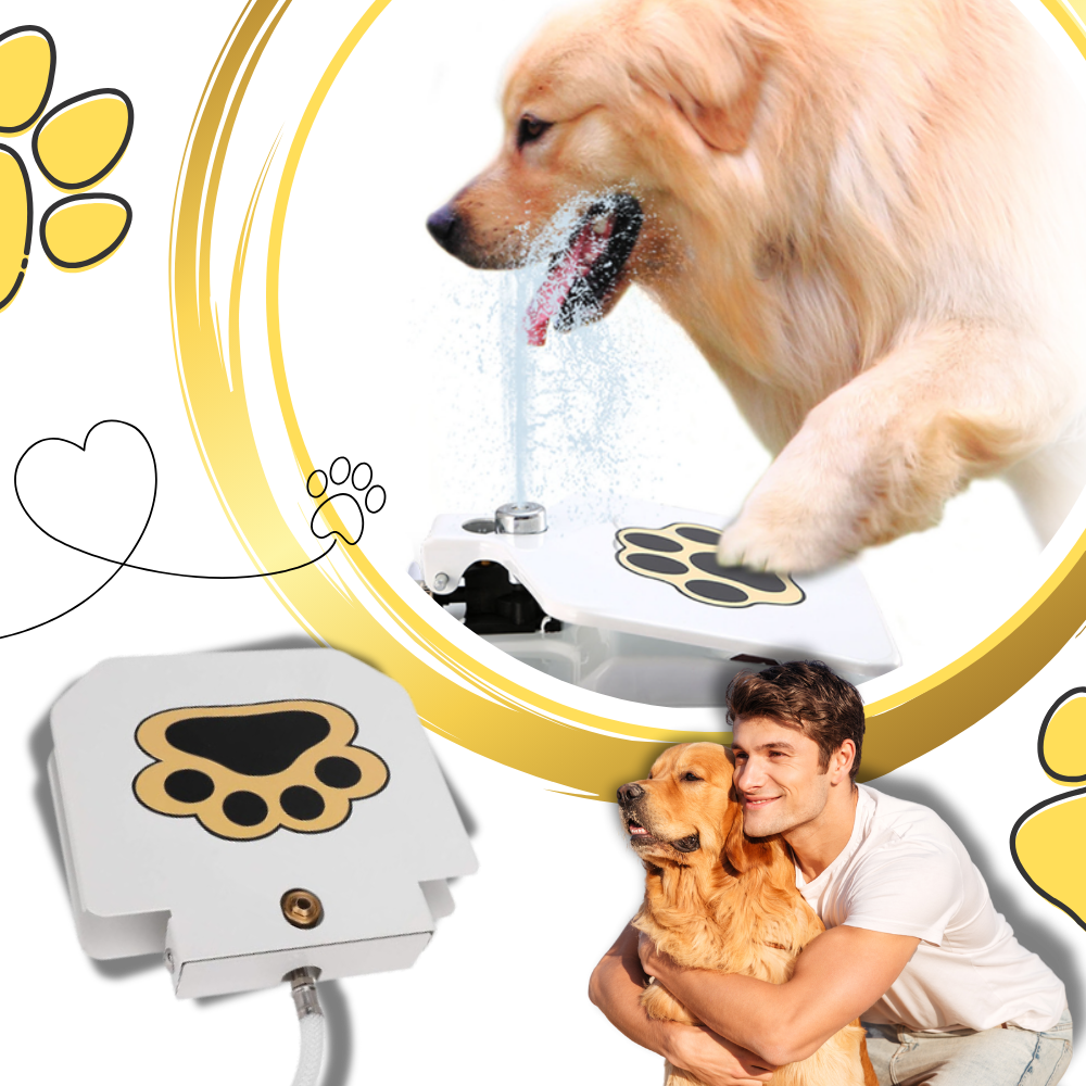 Paw Activated Dog Water Fountain - Ozerty