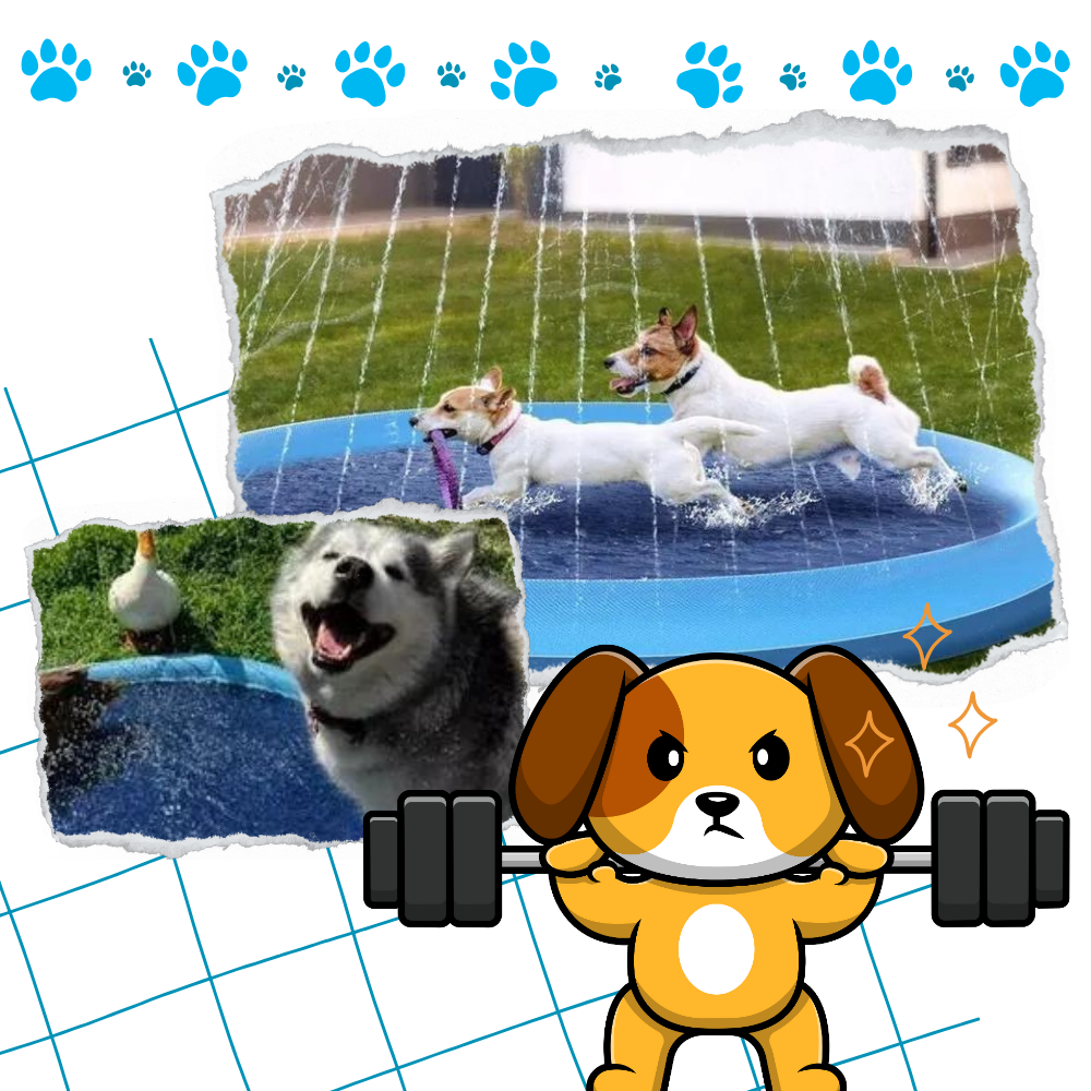 Portable Dog Splash Pad - Ozerty