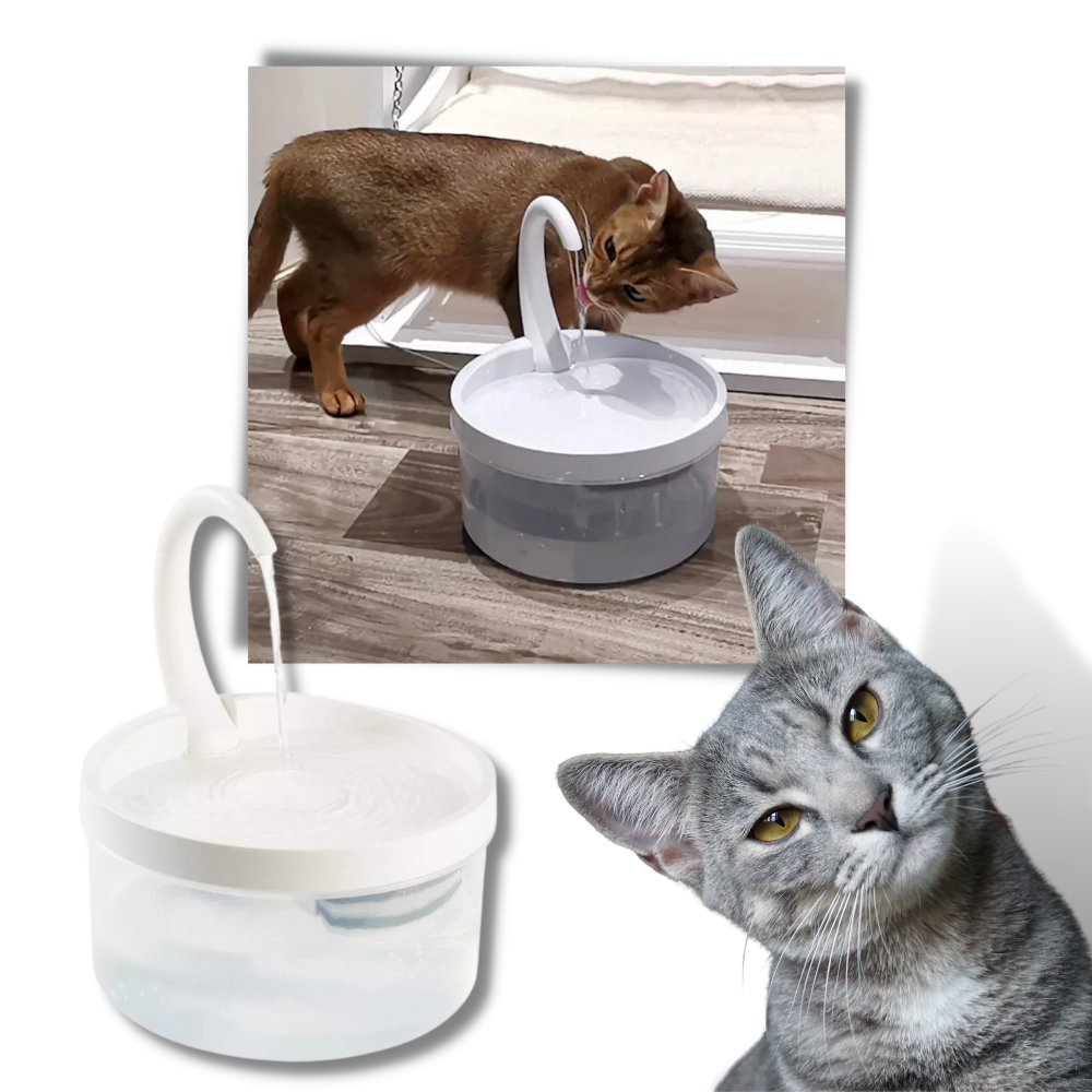 Auto water fountain for cat with LED light -