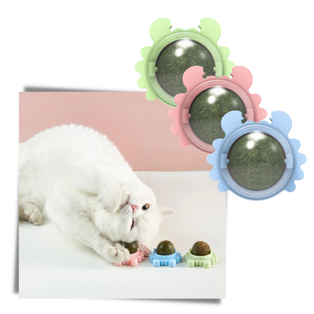 Mint cat toy hot sale