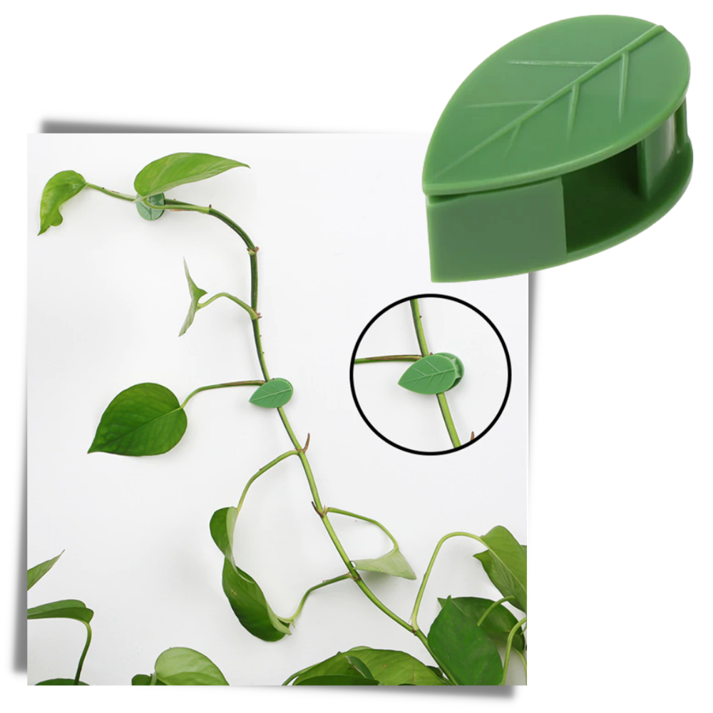 Pack of 20 Leaf-Shaped Adhesive Clips for Climbing Plants