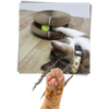 Cat Scratching Board
