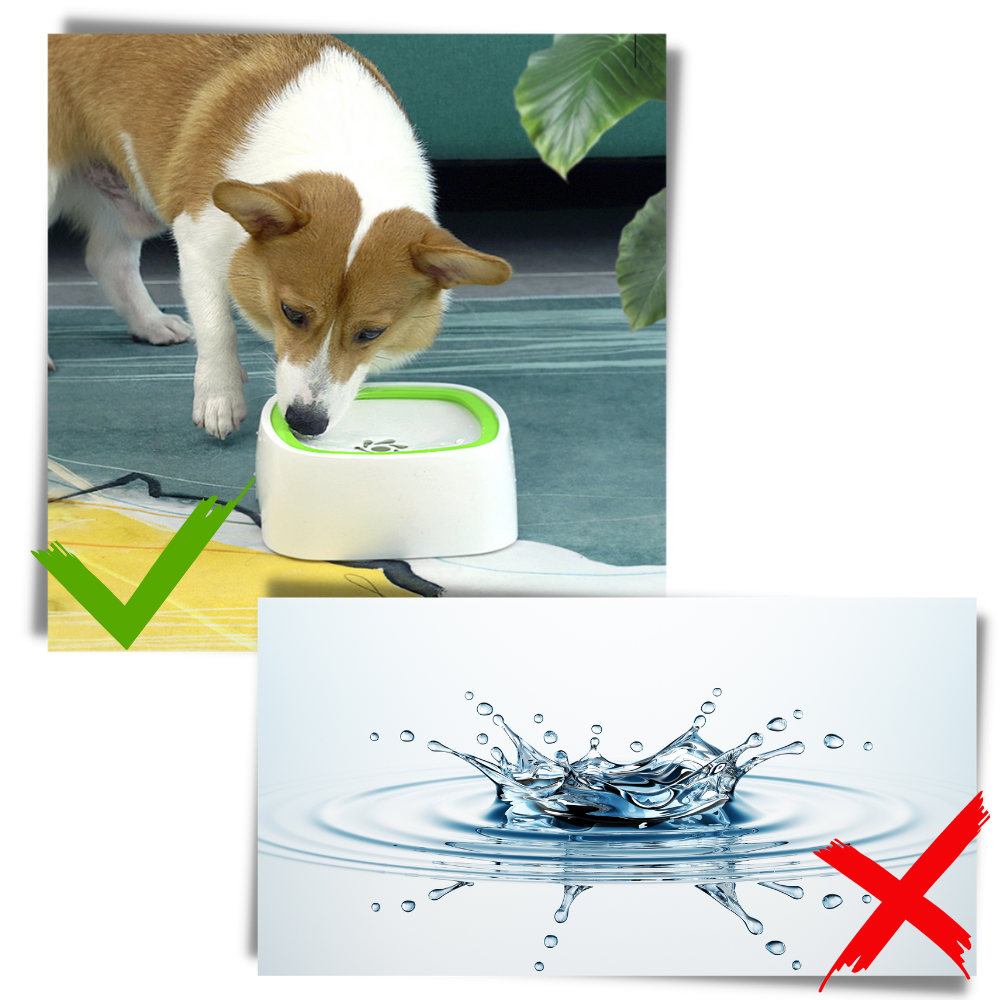 Pet Floating Water Bowl No splash Portable Pet Water Bowl