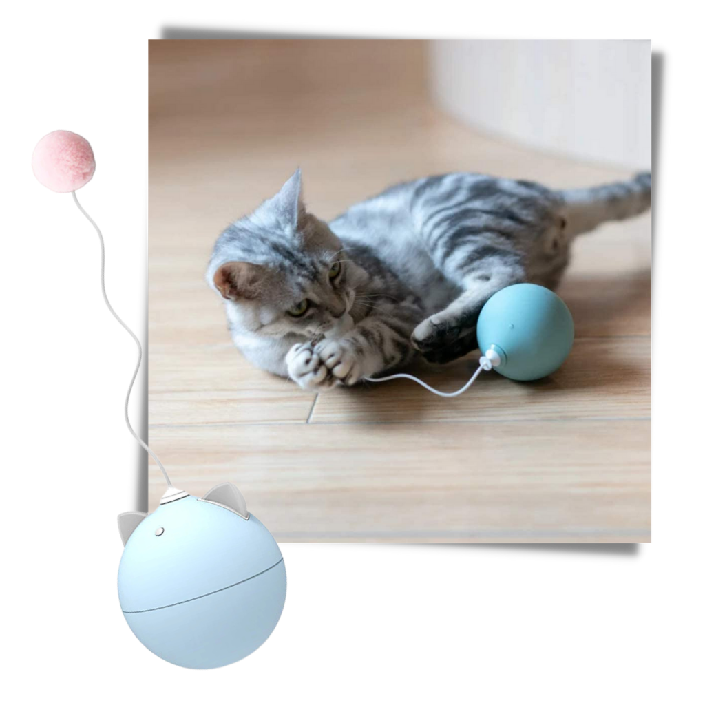 Cat Toy Ball With Auto-Roll Feature