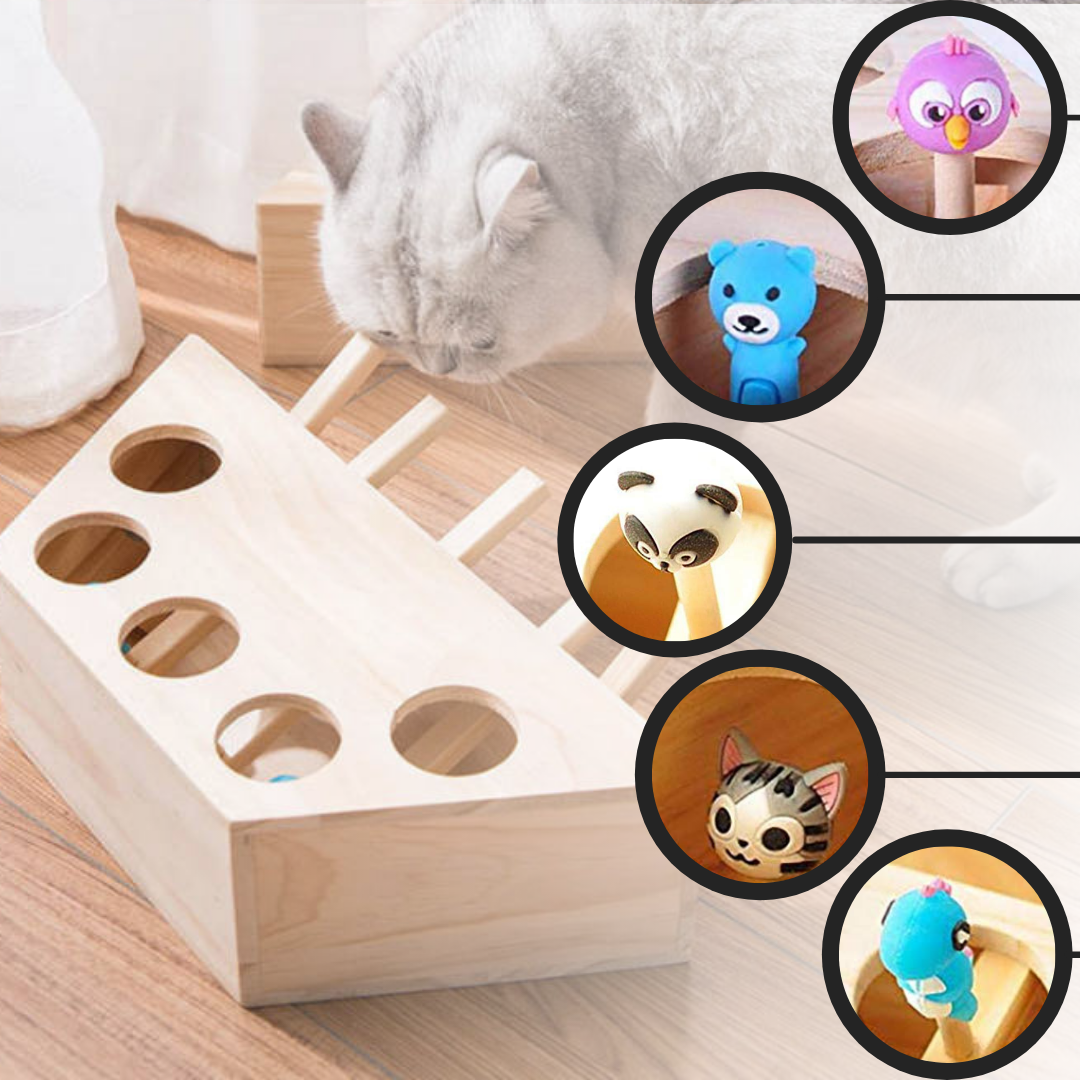 5 Hole Wooden Interactive Cat Toy