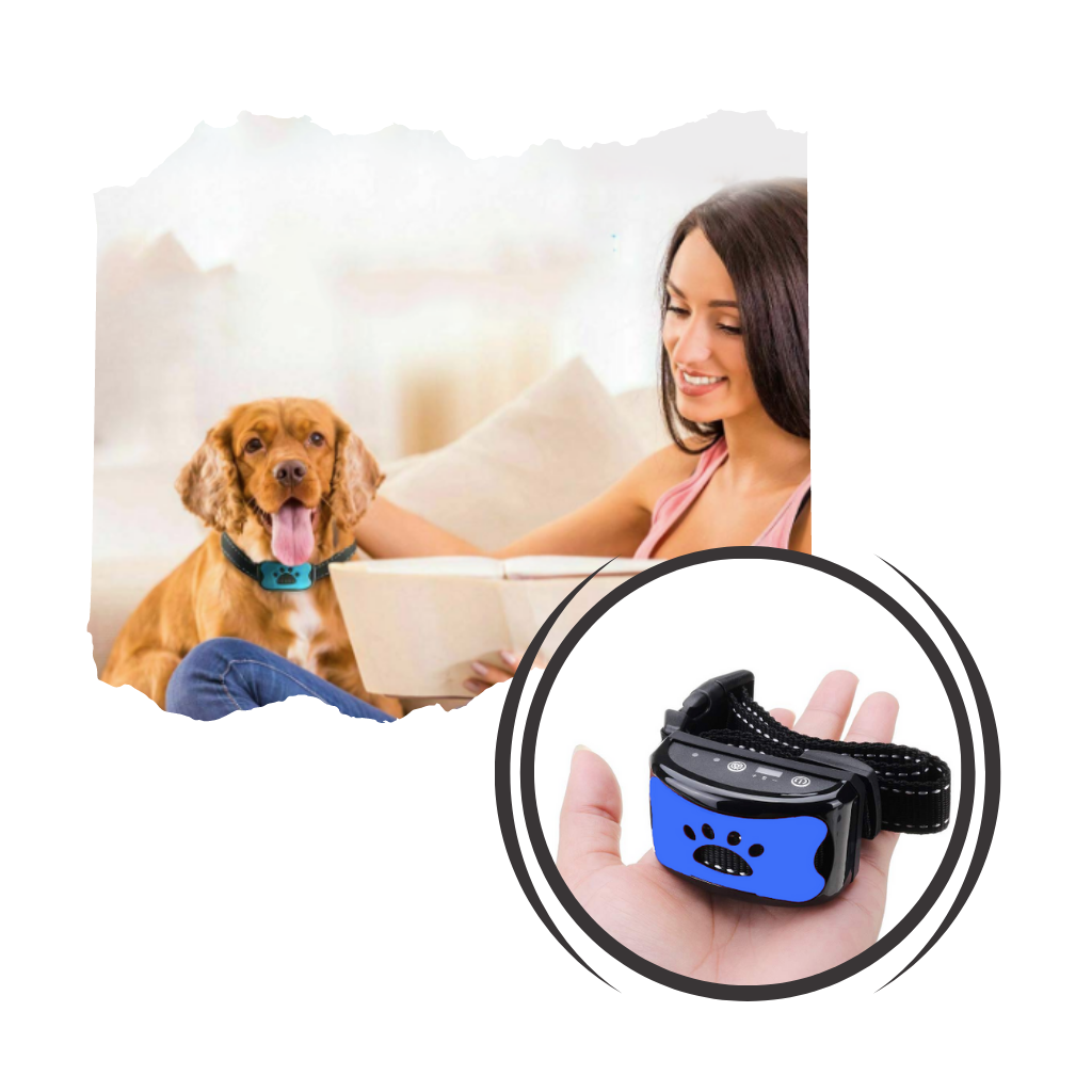 How to use clearance shock collar for barking