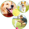 Automatic moving roller ball for dog with changeable covers