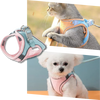 Pet Harness and Leash Set