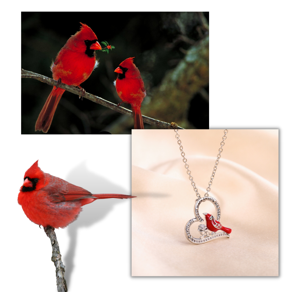 Necklace 2025 with cardinal