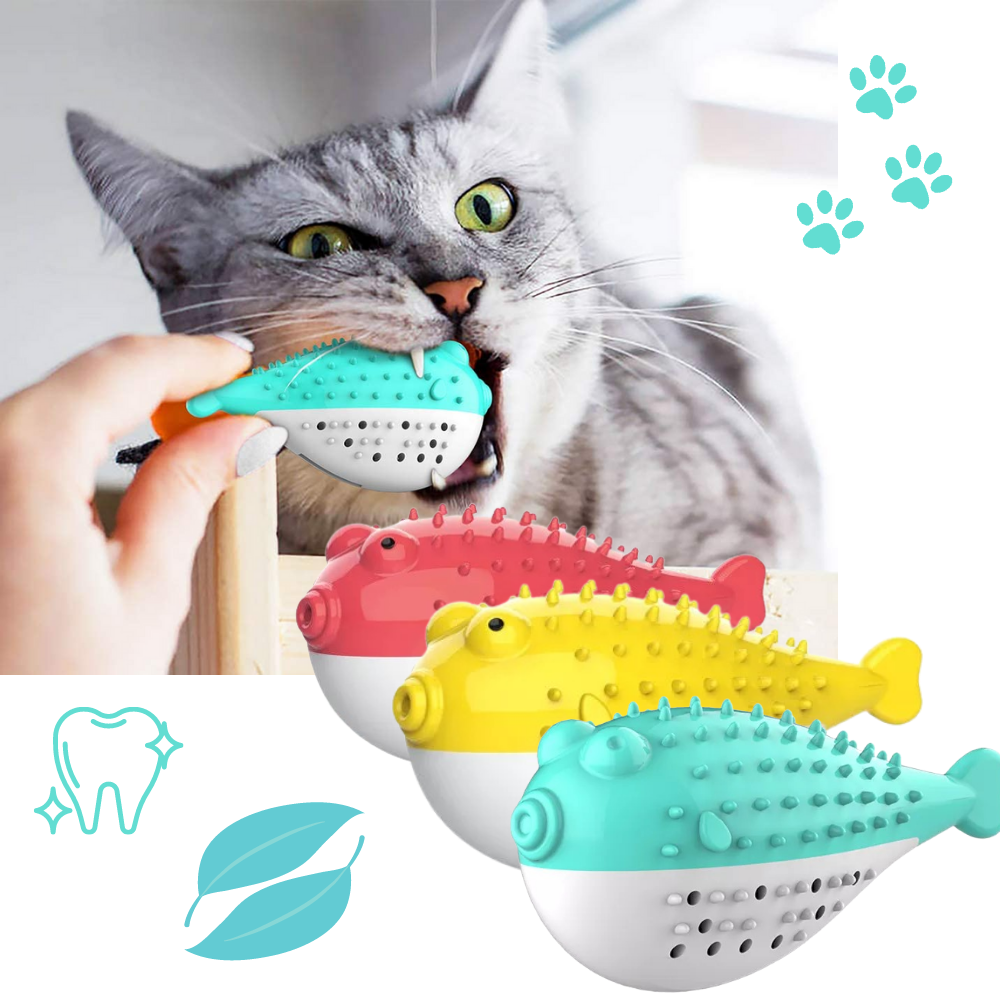 Fish shaped refillable cat toothbrush -