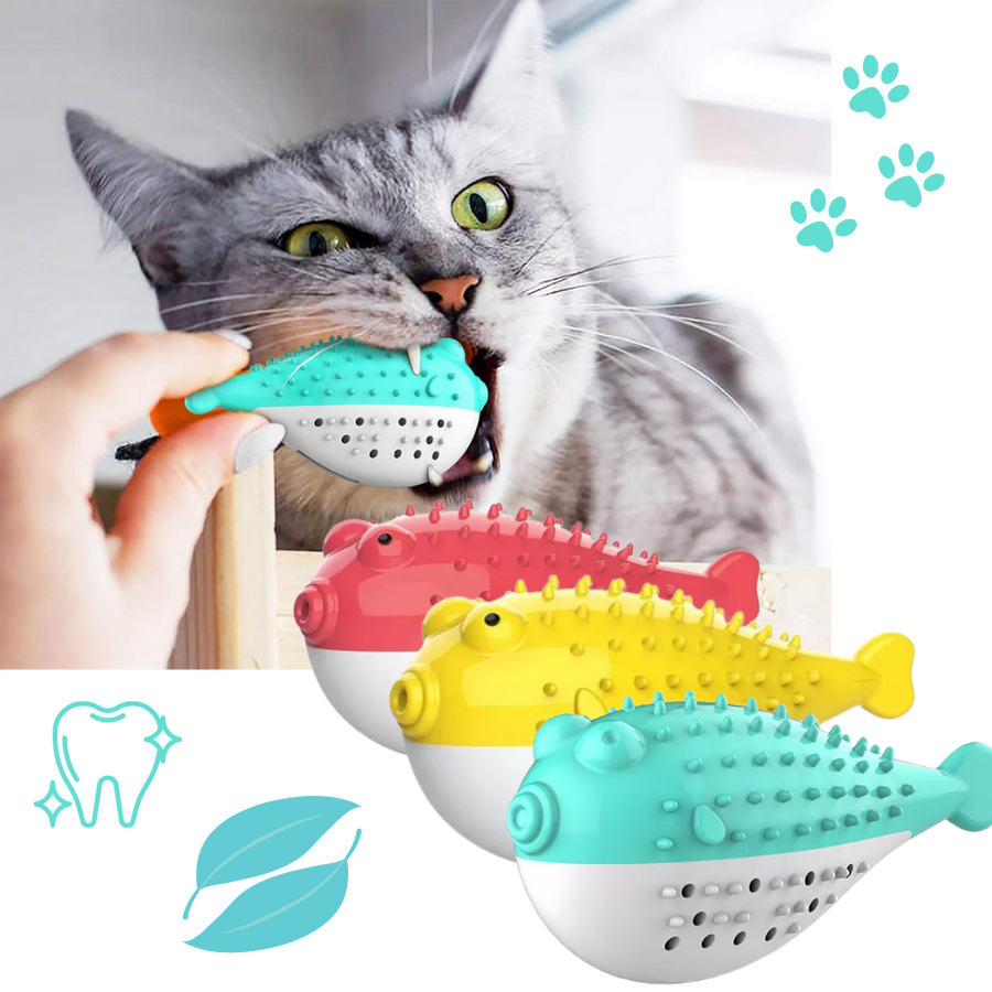 Fish shaped refillable cat toothbrush -