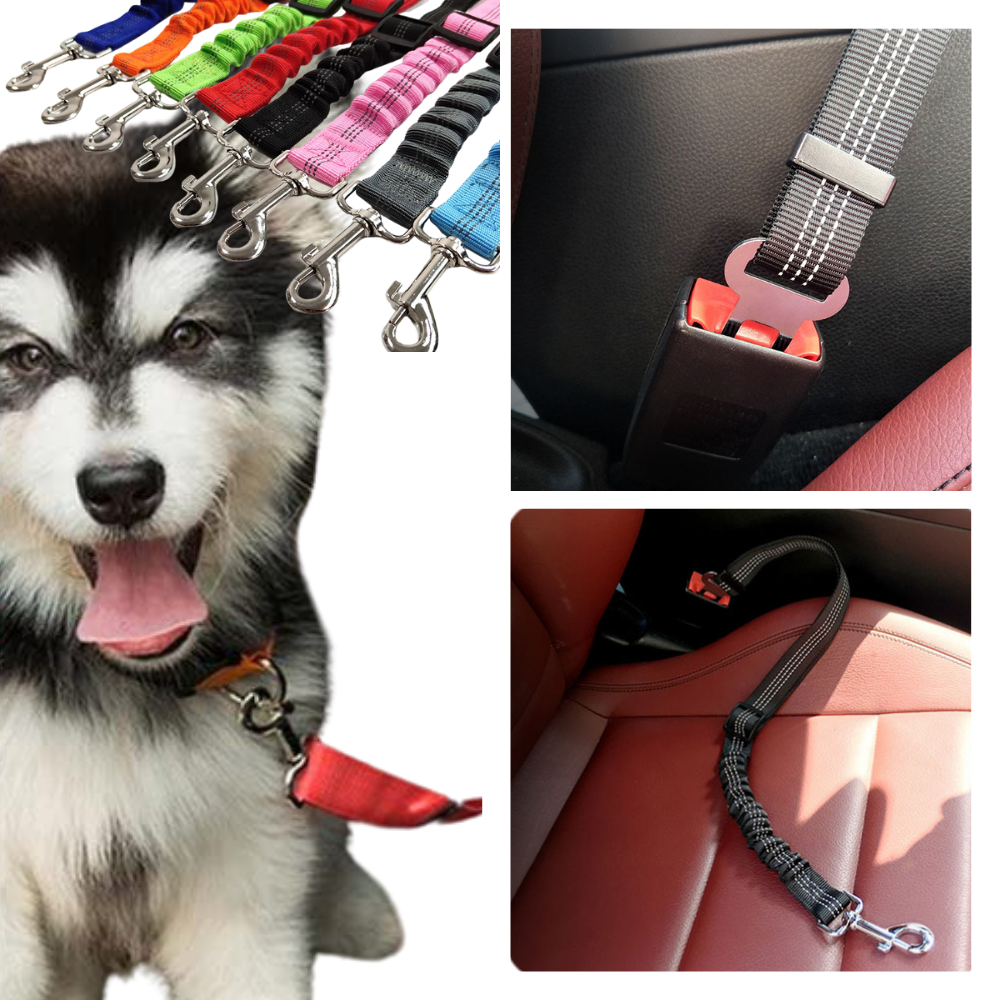Adjustable and durable dog safety belt for cars -