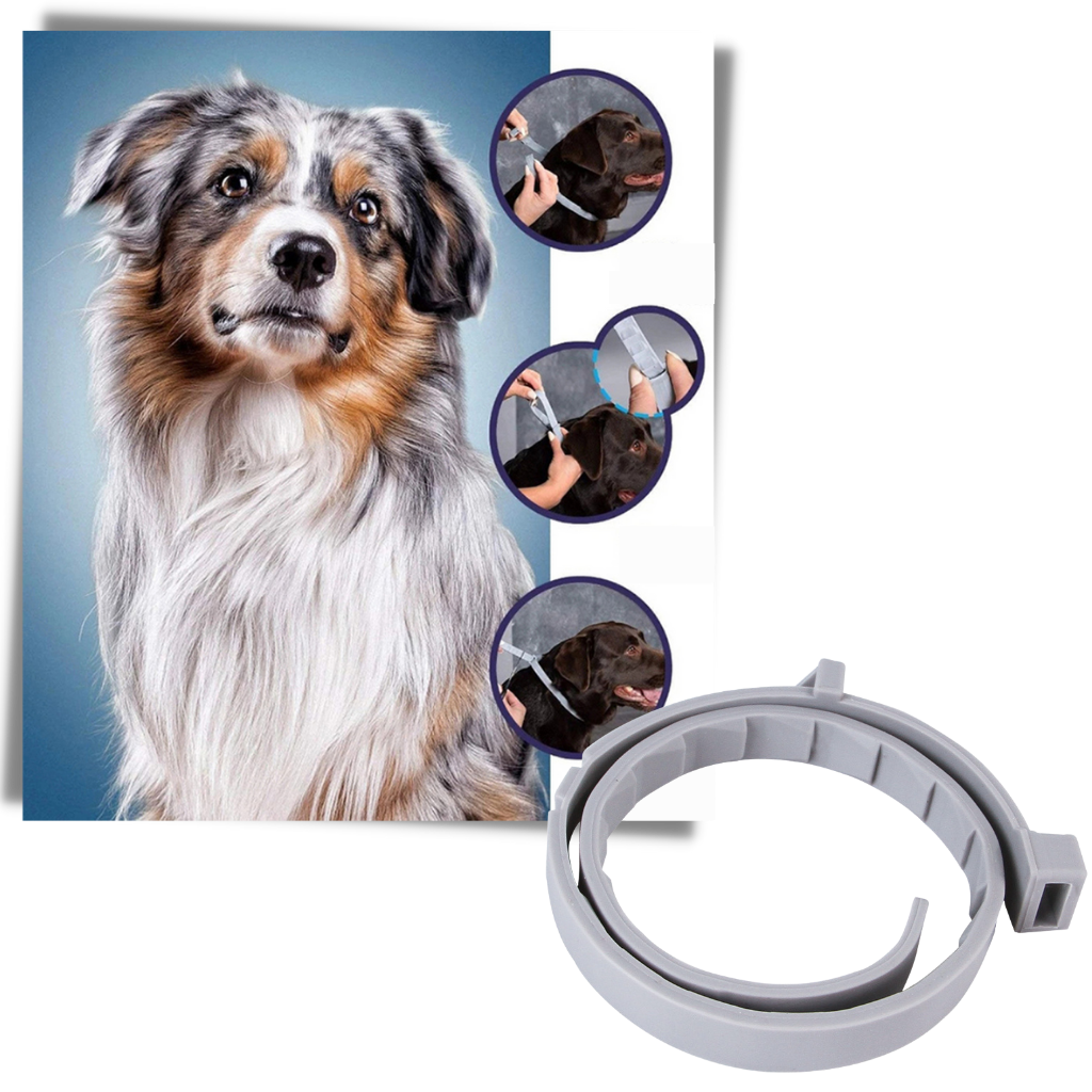 Anti Flea Collar for Pets