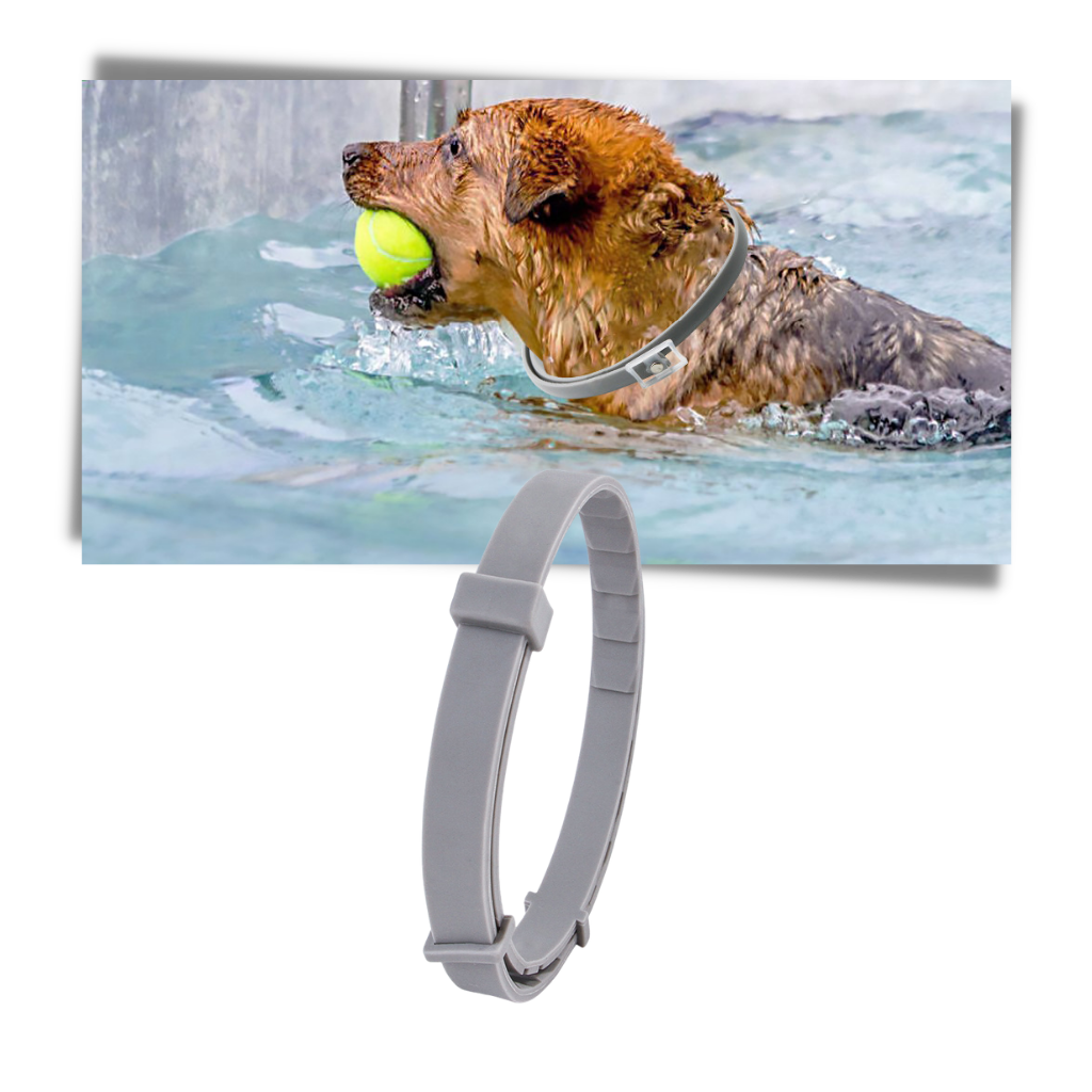 Anti Flea Collar for Pets