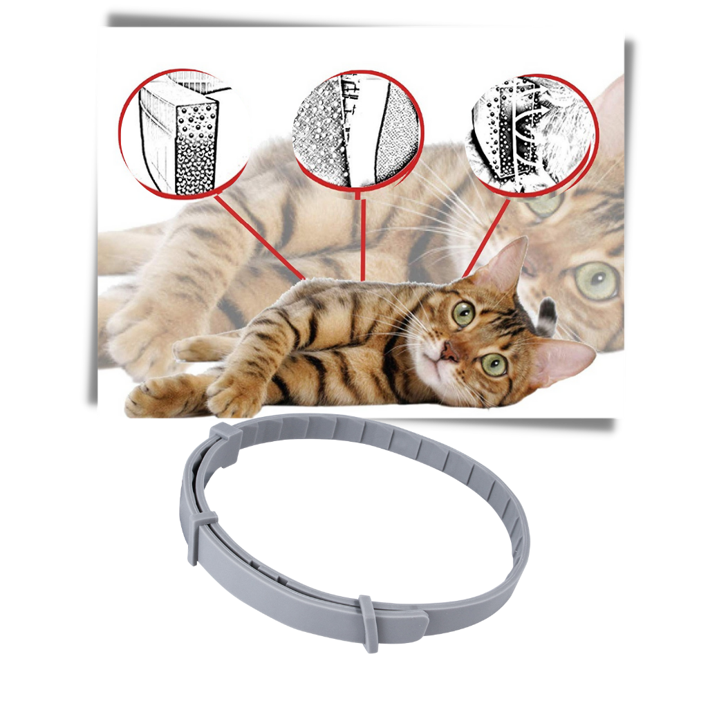 Flea and tick collar for dogs and cats Anti flea Collar for Pets