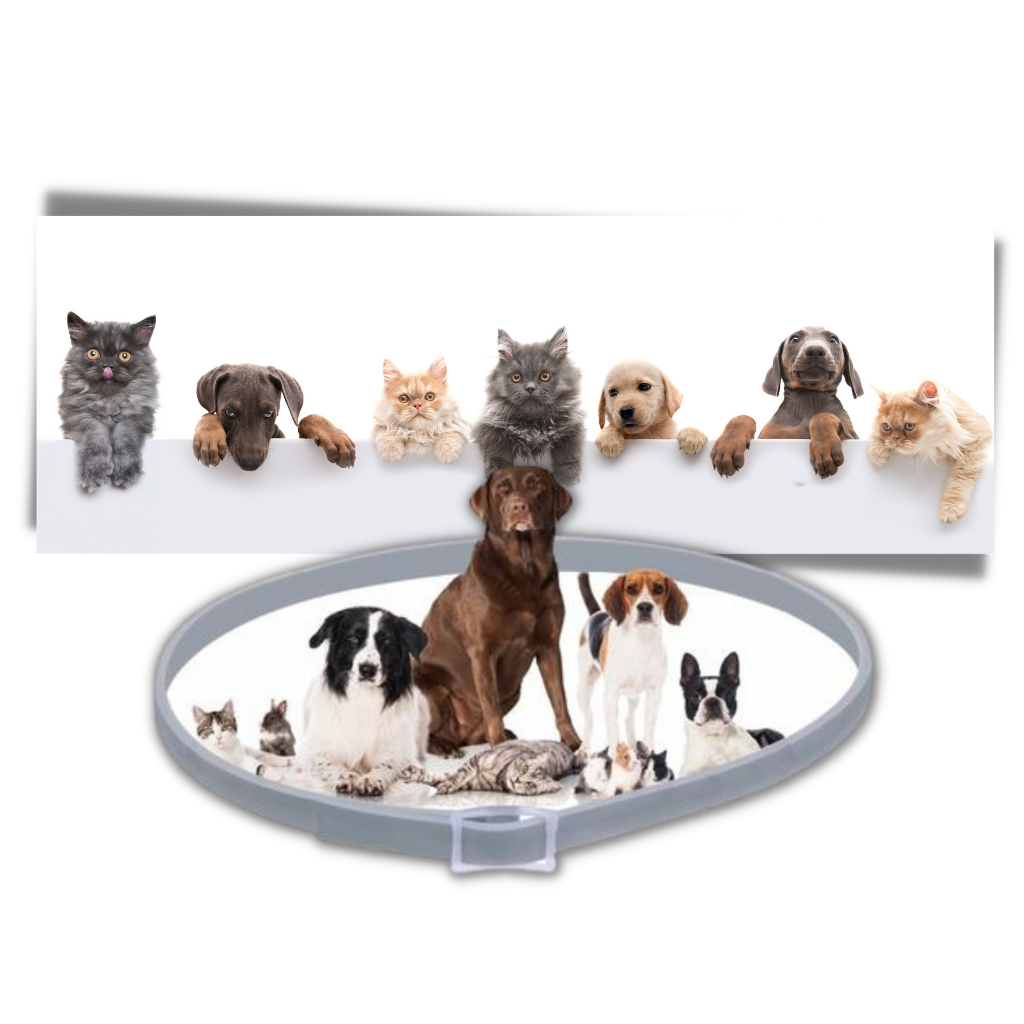 Flea and tick collar for dogs and cats Anti flea Collar for Pets
