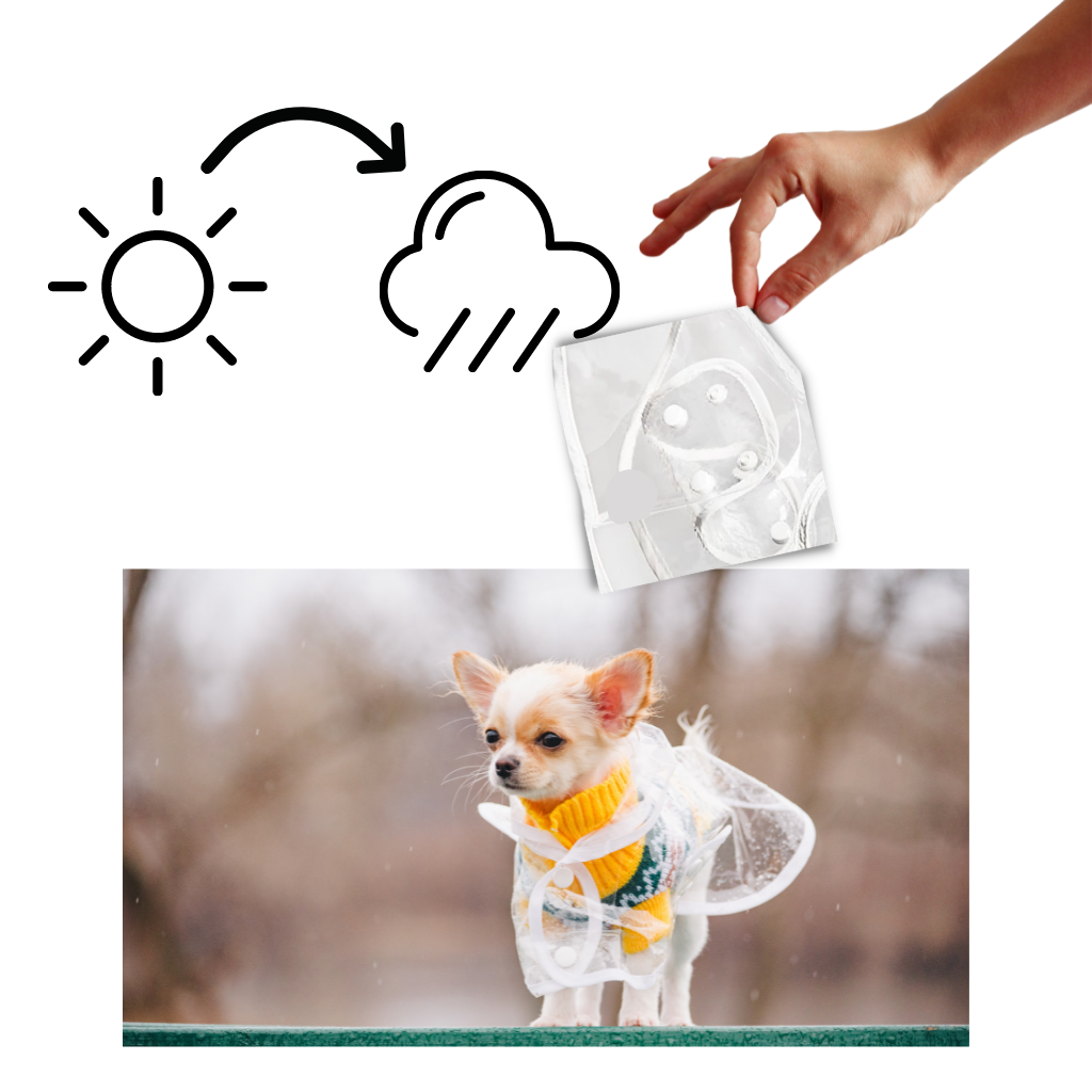 Clear plastic dog clearance raincoat