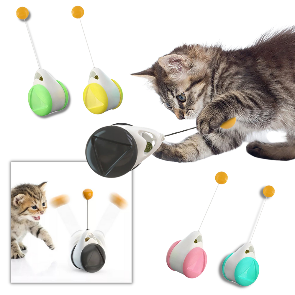 Interactive ball toy for cats -