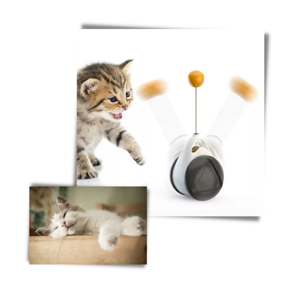 Interactive ball toy for cats