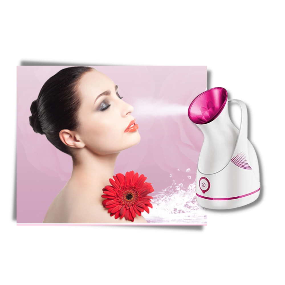 Portable face humidifier and sauna