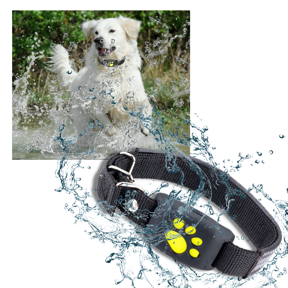 GPS Tracking Collar for Pets