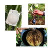 Pack of 3 Air Layering Plant Boxes