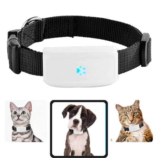 Dog hotsell collar trackers