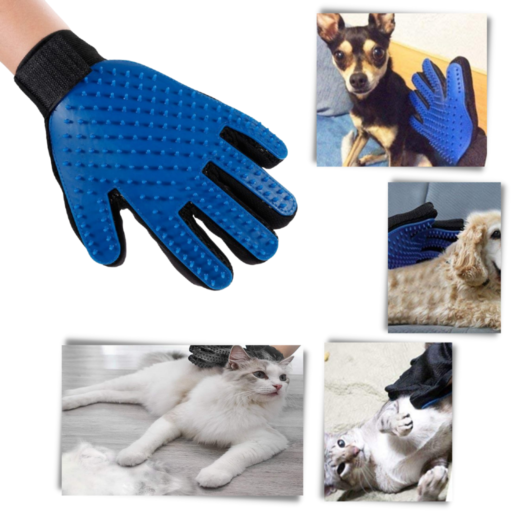Dog combing gloves hotsell