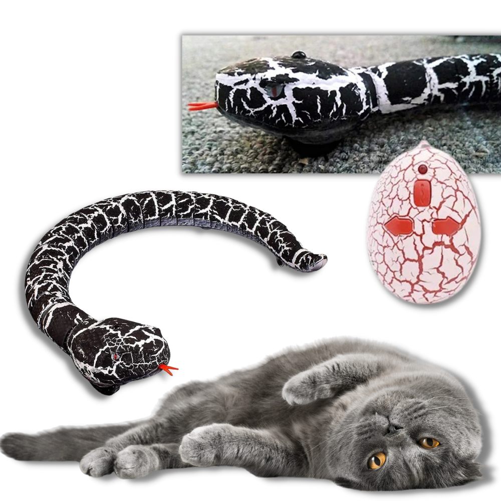 Remote control interactive snake toy for cat -
