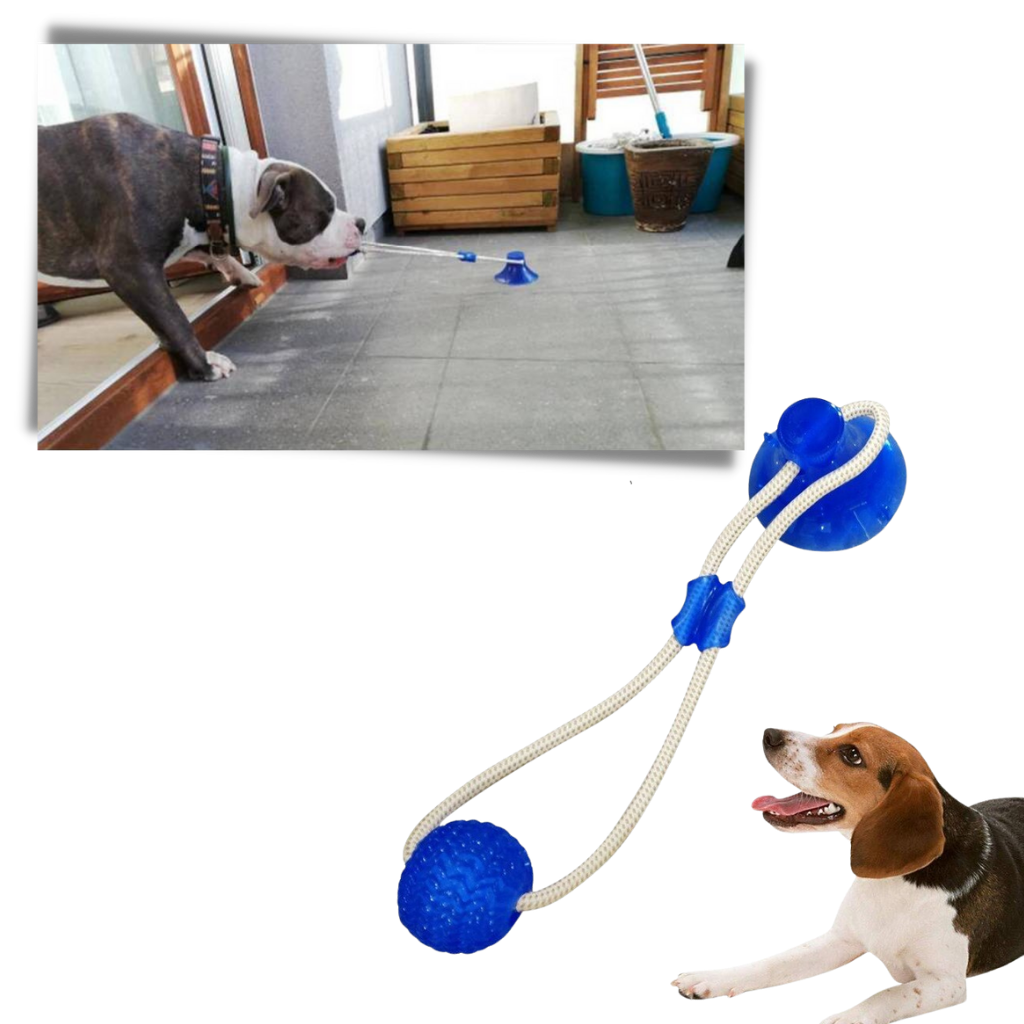 Dog suction cup ball deals