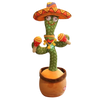 Talking Cactus Parrot