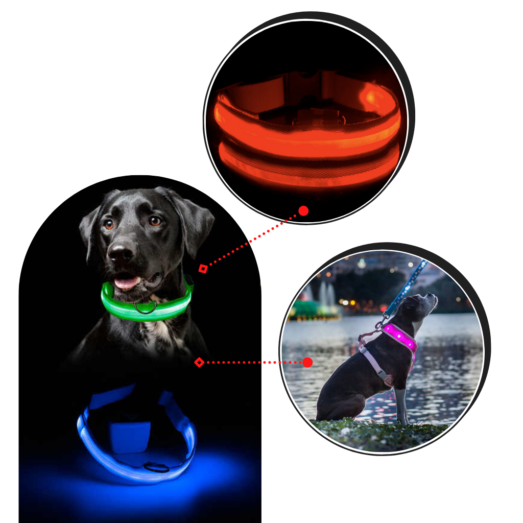 LED light pet collar