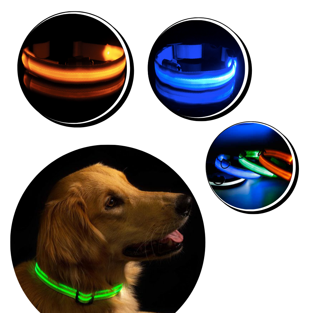 LED light pet collar