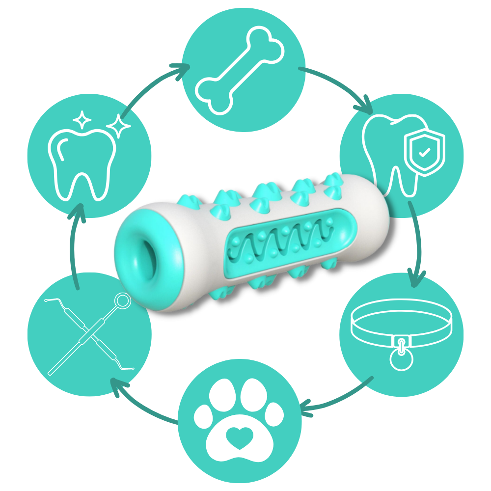 Dental Care Chew Toy for Dogs - Ozerty