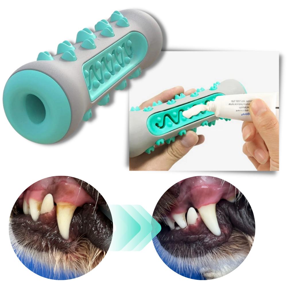 Dental Care Chew Toy for Dogs - Ozerty